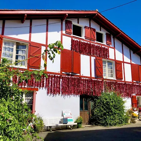 Hyper-centre-plage - 46m2 - 2 Pieces - Renove 2023