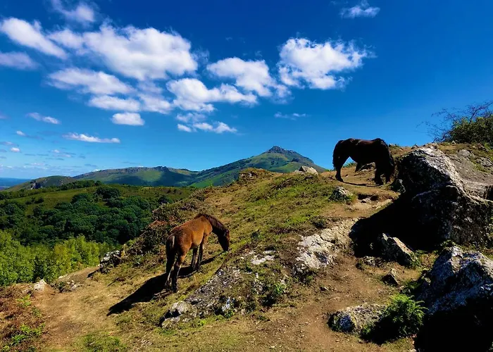 Hyper-centre-plage - 46m2 - 2 Pieces - Renove 2023 *